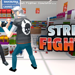 Street Fighter Simulator