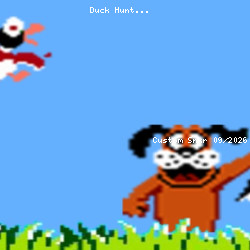 Duck Hunt