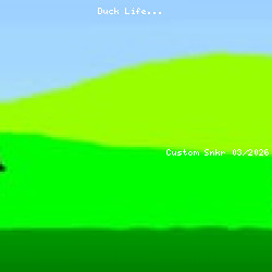 Duck Life
